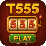 T555 Game